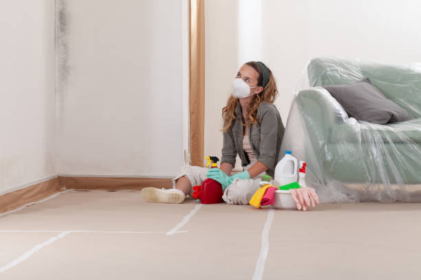 Reliable Black Mold Remediation contractor in Deltaville, VA by 24 Hour Mold Removal